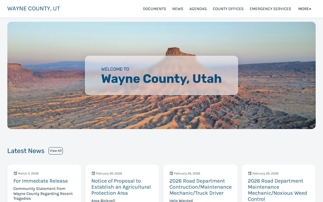 Wayne County government website for 72 hour booking record access